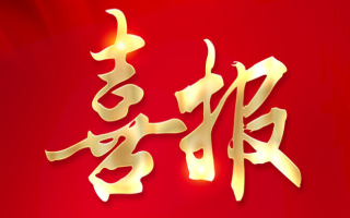 易迪森科技荣获“十大服务业贡献企业”称号！ —— 以实力领跑，为高新区添彩